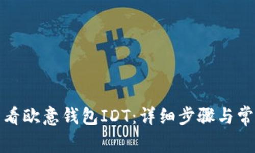 如何轻松查看欧意钱包IDT：详细步骤与常见问题解答