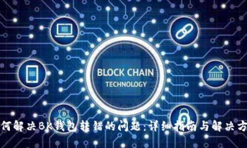 如何解决BK钱包转错的问题：详细指南与解决方案