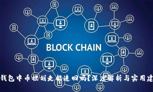 冷钱包中币被划走能追回吗？深度解析与实用建议