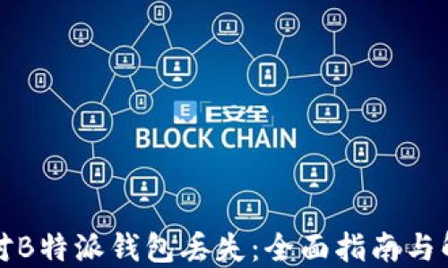 
如何应对B特派钱包丢失：全面指南与解决方案