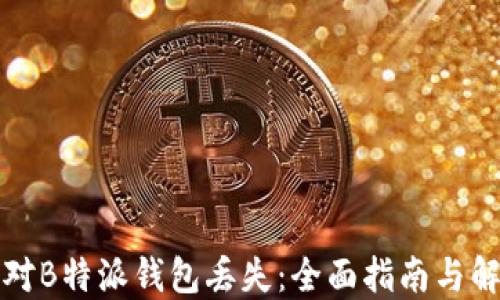 
如何应对B特派钱包丢失：全面指南与解决方案