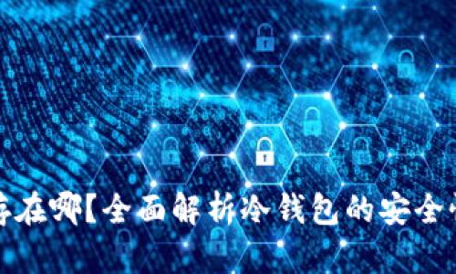 冷钱包的币存在哪？全面解析冷钱包的安全性与存储原理