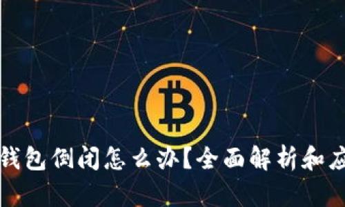 比特派钱包倒闭怎么办？全面解析和应对方案