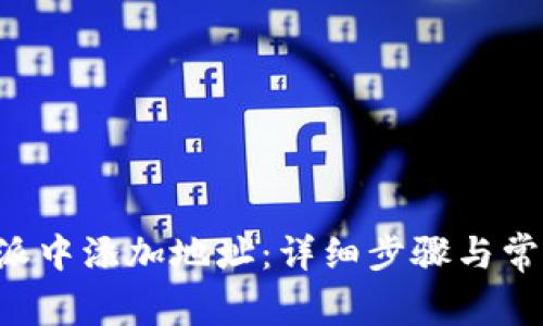 如何在B特派中添加地址：详细步骤与常见问题解析