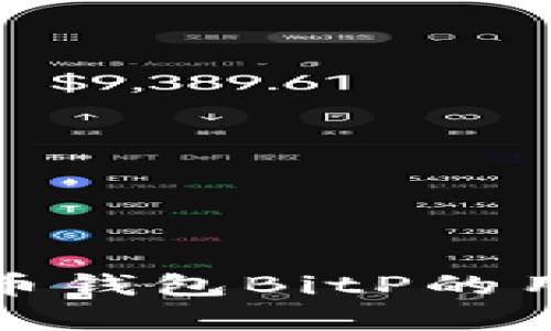 深入分析比特币钱包BitP的用户口碑与评价