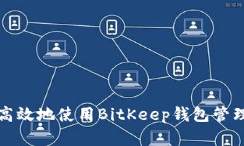 如何安全高效地使用BitKeep钱包管理数字资产