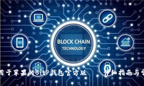 如何下载适用于苹果的BitP钱包官方版——详细指南与常见问题解答