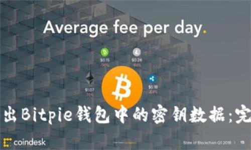 如何导出Bitpie钱包中的密钥数据：完整指南