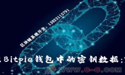 如何导出Bitpie钱包中的密钥数据：完整指南