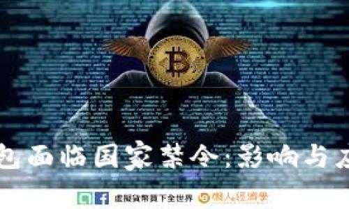 区块链冷钱包面临国家禁令：影响与应对策略分析