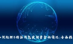 如何处理B特派钱包发错资金的情况：全面指南