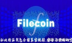 iaoti探秘比特派钱包余额真实视频：安全与便利的