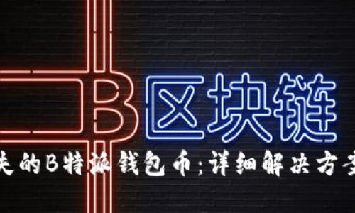 如何找回丢失的B特派钱包币：详细解决方案与预防措施