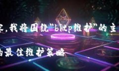 为了给出一个合适的和内容，我将围绕＂bitp维护