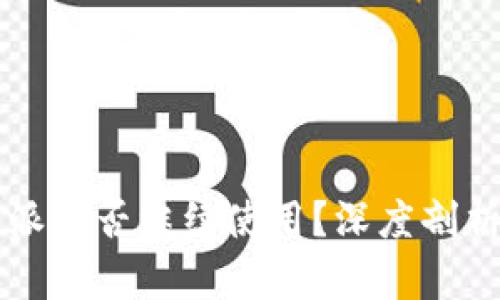 2023年B特派能否继续使用？深度剖析与用户反馈