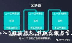 如何顺利导入B特派钱包：详细步骤与常见问题解