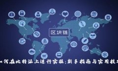 如何在比特派上进行实操：新手指南与实用技巧