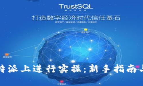 如何在比特派上进行实操：新手指南与实用技巧