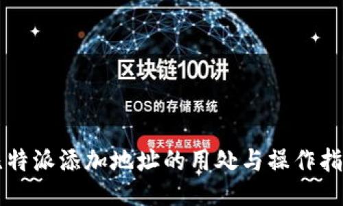 比特派添加地址的用处与操作指南