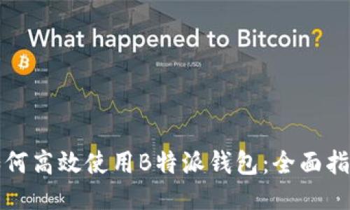 如何高效使用B特派钱包：全面指南