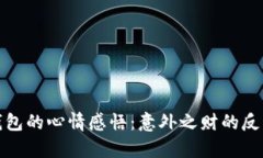 捡到冷钱包的心情感悟：意外之财的反思与启示