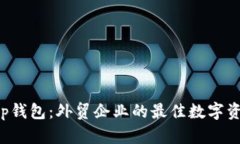 探索BitKeep钱包：外贸企业的最佳数字资产管理工