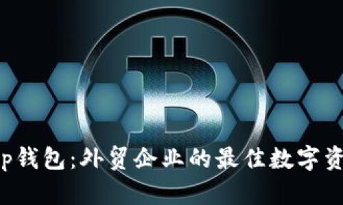 探索BitKeep钱包：外贸企业的最佳数字资产管理工具