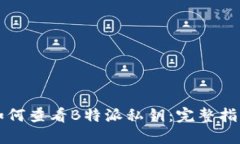 如何查看B特派私钥：完整指南