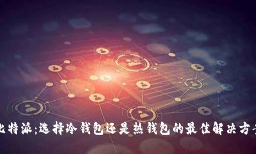 比特派：选择冷钱包还是热钱包的最佳解决方案