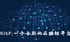 深入探索BitP：一个全新的区块链平台及其功能