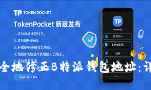 如何安全地修正B特派钱包地址：详尽指南