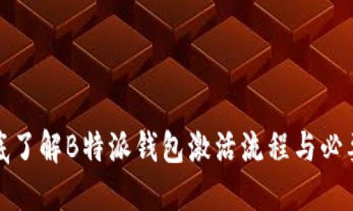 彻底了解B特派钱包激活流程与必要性