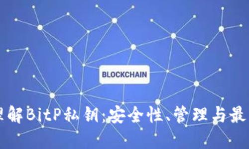 深入理解BitP私钥：安全性、管理与最佳实践