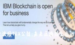 深入探索波场TRX公链：未来区块链生态的中坚力