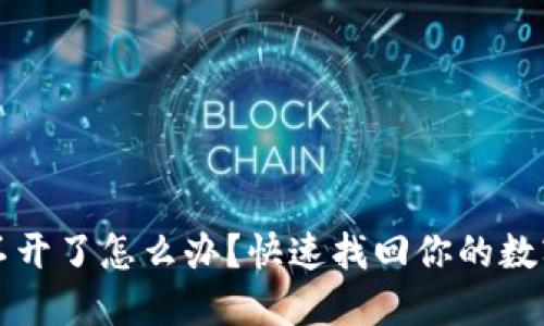 比特派打不开了怎么办？快速找回你的数字资产指南