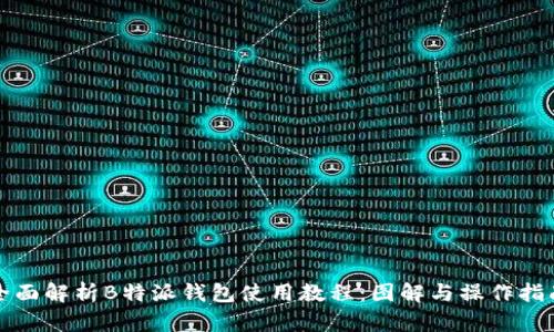 全面解析B特派钱包使用教程：图解与操作指南