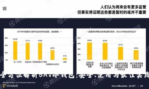 全方位解析BAV冷钱包：安全、使用与最佳实践