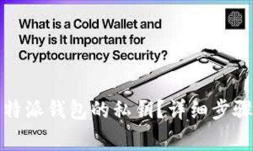 如何查看比特派钱包的私钥？详细步骤与注意事项