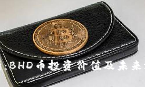 深入分析：BHD币投资价值及未来潜力探讨