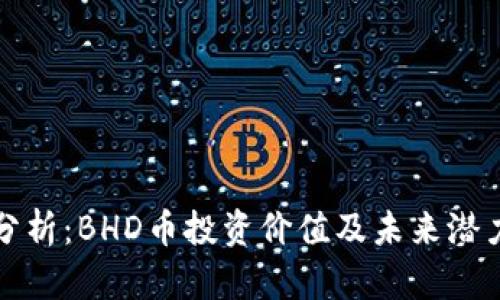 深入分析：BHD币投资价值及未来潜力探讨