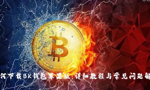 如何下载BK钱包苹果版：详细教程与常见问题解答