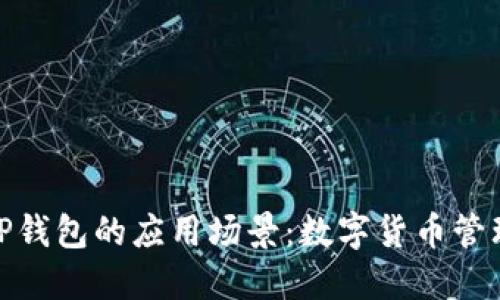 探索BitP钱包的应用场景：数字货币管理的未来