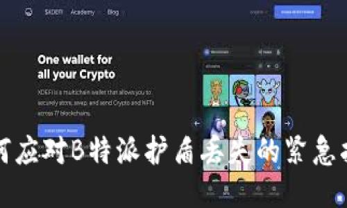 如何应对B特派护盾丢失的紧急指南