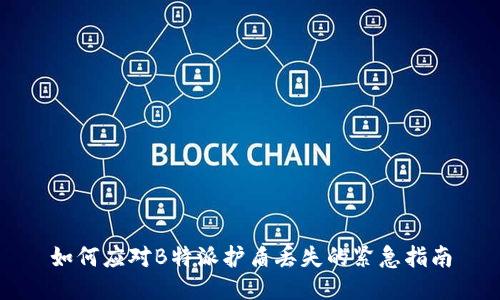 如何应对B特派护盾丢失的紧急指南