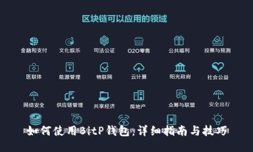 如何使用BitP钱包：详细指南与技巧