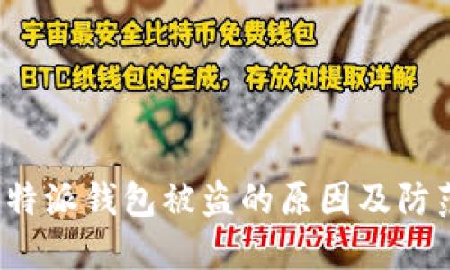 揭秘B特派钱包被盗的原因及防范措施