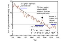 b特派：探究其安全性与可信度
