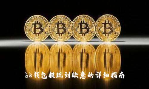 bk钱包提现到欧意的详细指南