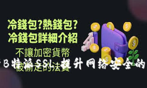 深入解析B特派SSL：提升网络安全的最佳选择