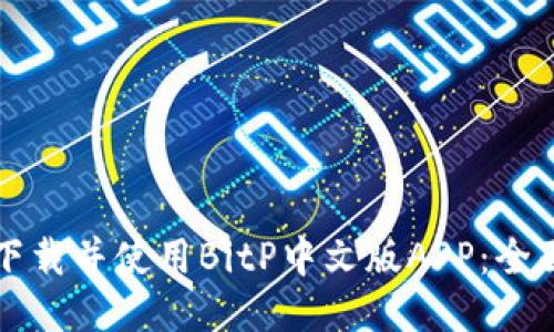如何下载并使用BitP中文版APP：全面指南
